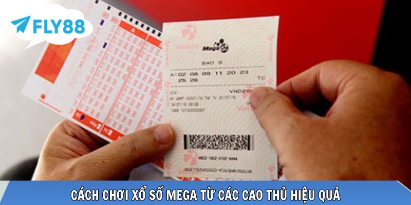 Cách chơi xổ số mega từ những cao thủ lâu năm
