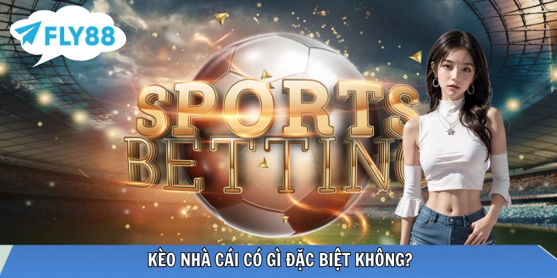 Lý do nên tham khảo kèo nhà cái