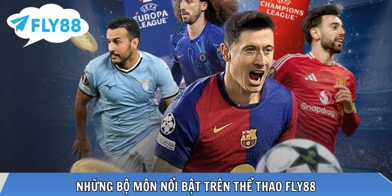 Nhiều bộ môn trọng điểm, dữ liệu riêng từng nội dung