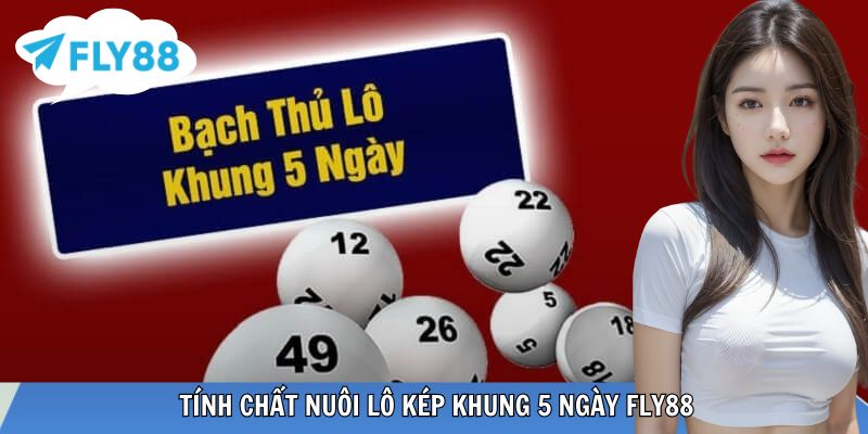 Minh họa chu kỳ lô kép năm ngày